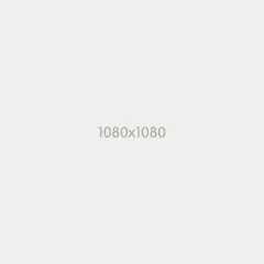 Lorem Ipsum has been the industry's standard dum