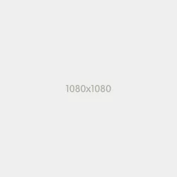 Lorem Ipsum has been the industry's standard dum