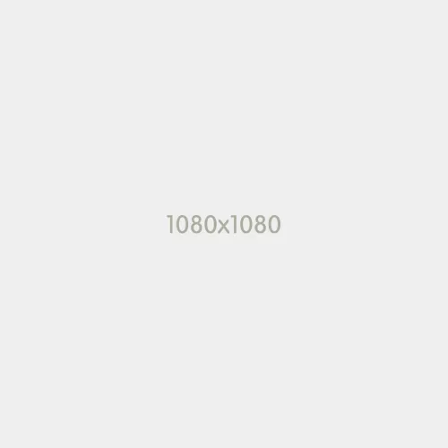 Lorem Ipsum has been the industry's standard dum